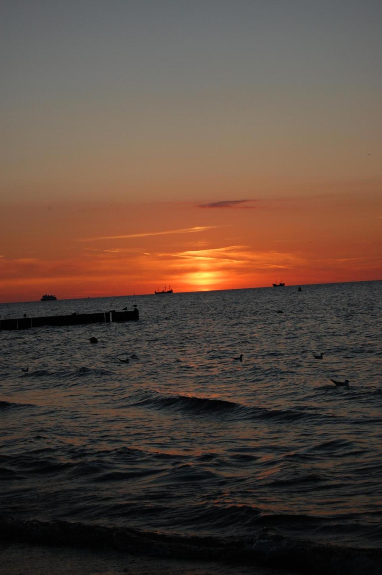 Halo * Kołobrzeg