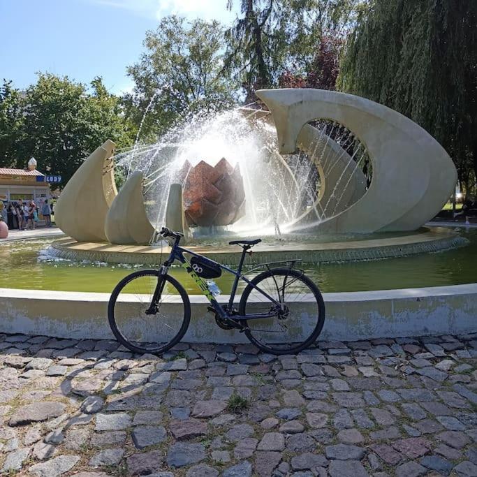 Halo Kolberg